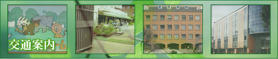 ���C���C���[�W